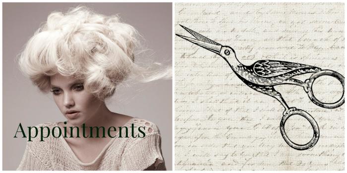 Appointments Image